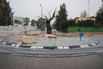 بالفيديو: تساقط الثلوج وحبات البرد على مدينتي اللد والرملة 